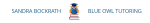 Blue Owl Tutoring
